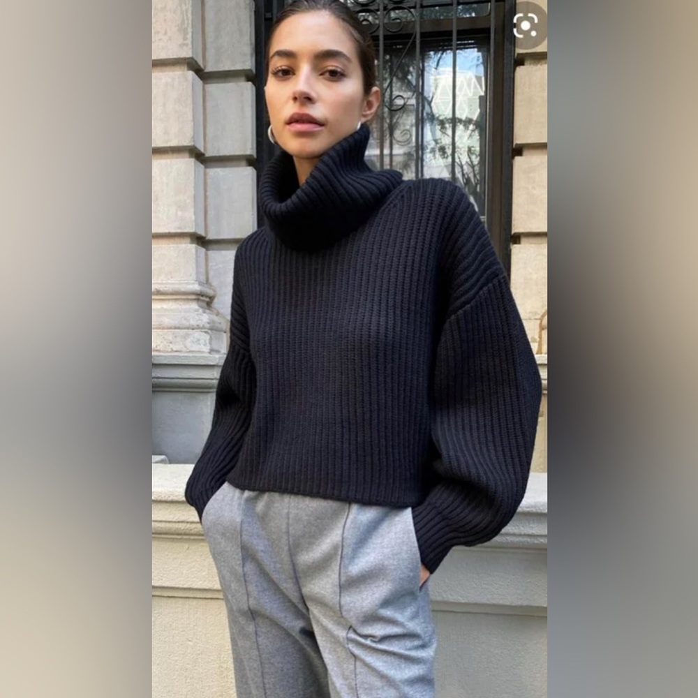 Aritzia Black Turtleneck Ribbed Sweater